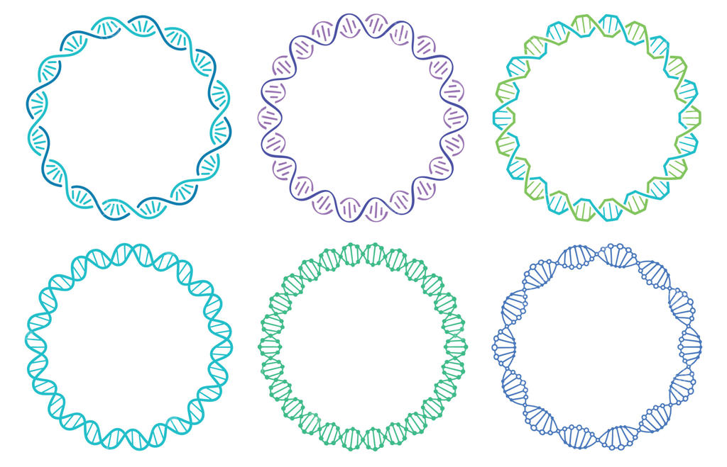 مجموعه قاب مارپیچ DNA: مارپیچ ژنوم انسان بر زمینه سفید. مفهومی ژنتیکی برای علم یا پزشکی
