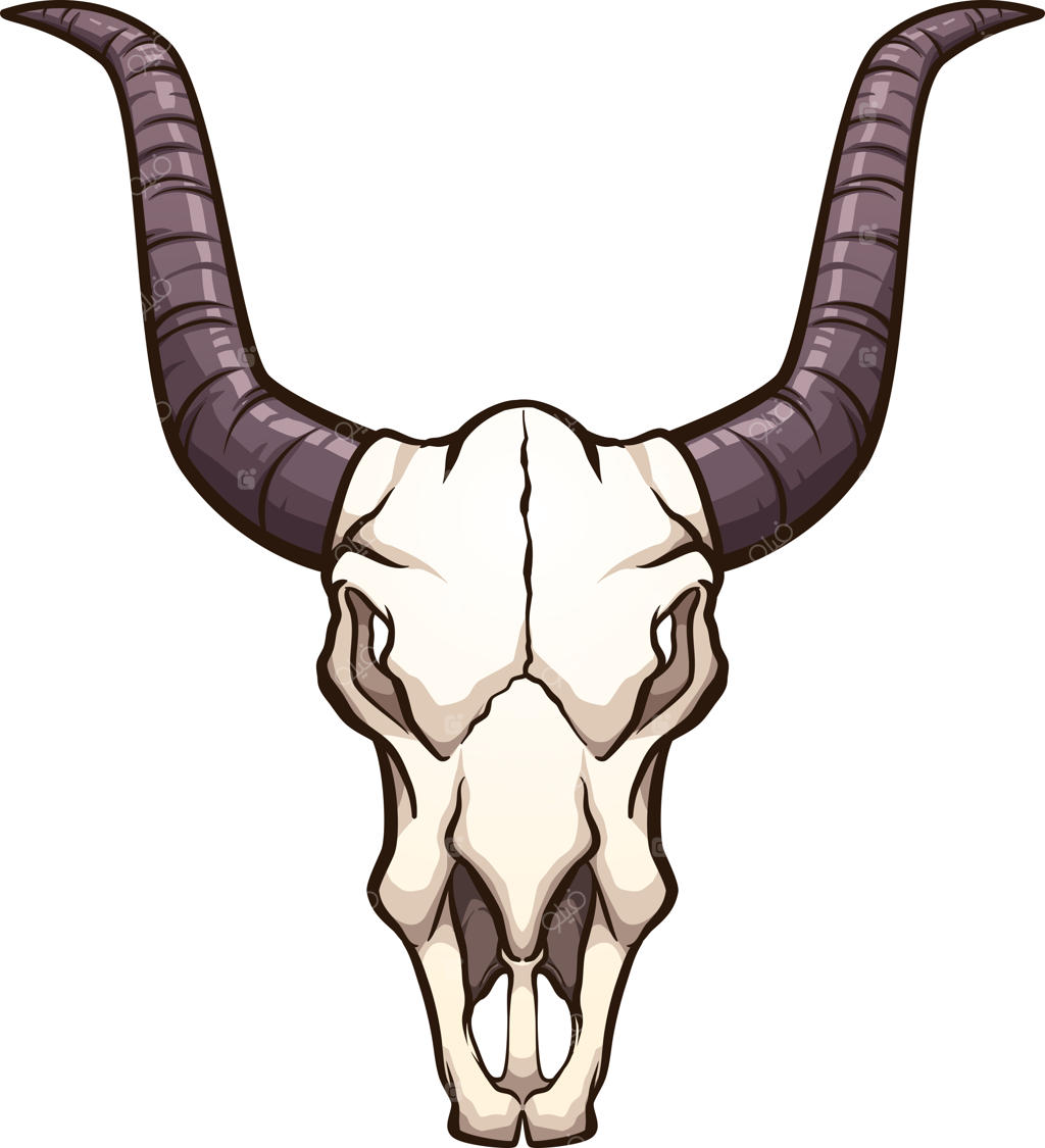 نمای جلوی جمجمه گاو نقاشی کارتونی با شاخ‌های تیره. تصویر کلیپ آرت.