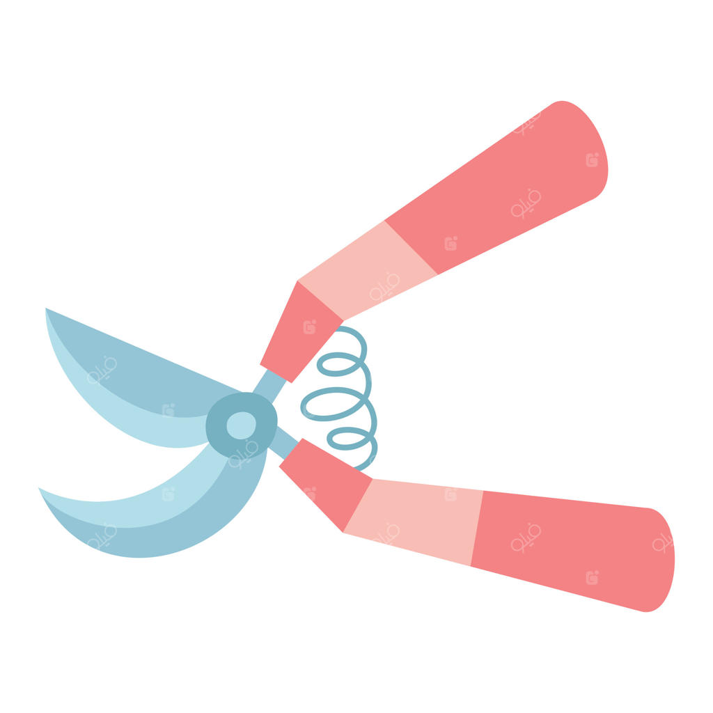 قیچی باغبانی دستی بر روی پس‌زمینه سفید