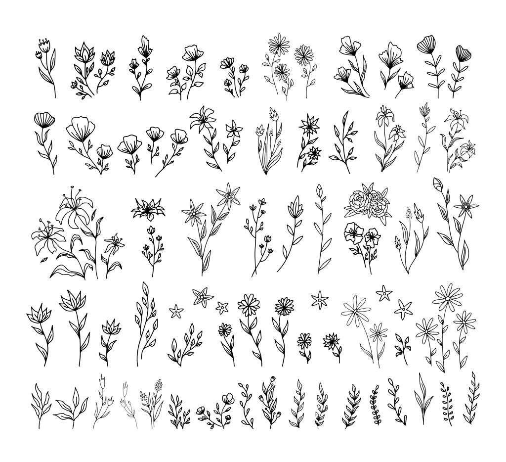 مجموعه وکتور المان‌های گل‌دار وینتیج و قاب و حاشیه‌های دودل فانتزی