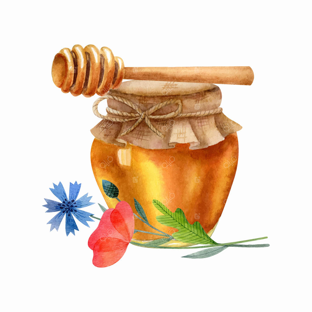 شیشه عسل، قاشق چوبی عسل، گلگندم و شقایق در پس‌زمینه سفید - هنر برداری