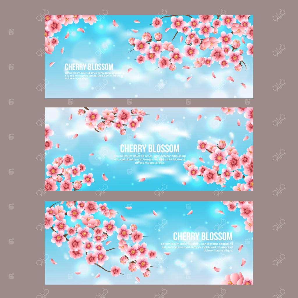 پترن بنر شکوفه‌های گیلاس