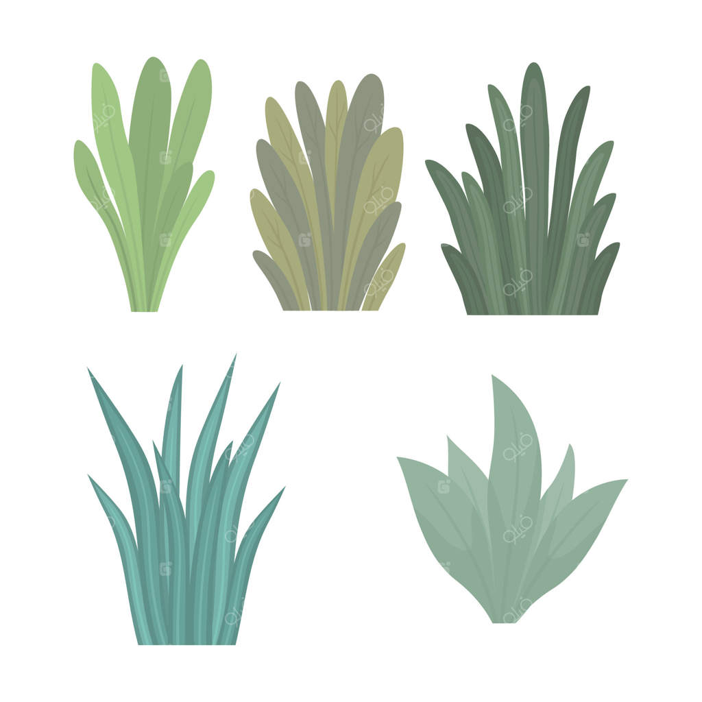 مجموعه‌ای از برگ‌های گرمسیری، شاخ و برگ، علف و گیاهان طبیعی در پارک و باغ