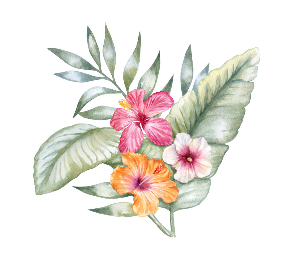 برگ‌های استوایی با گل‌های هیبیسکوز صورتی