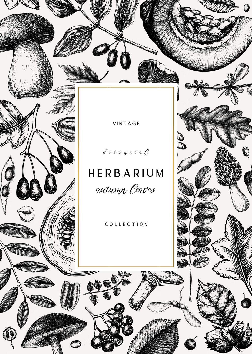 طراحی کارت یا دعوتنامه پاییزی