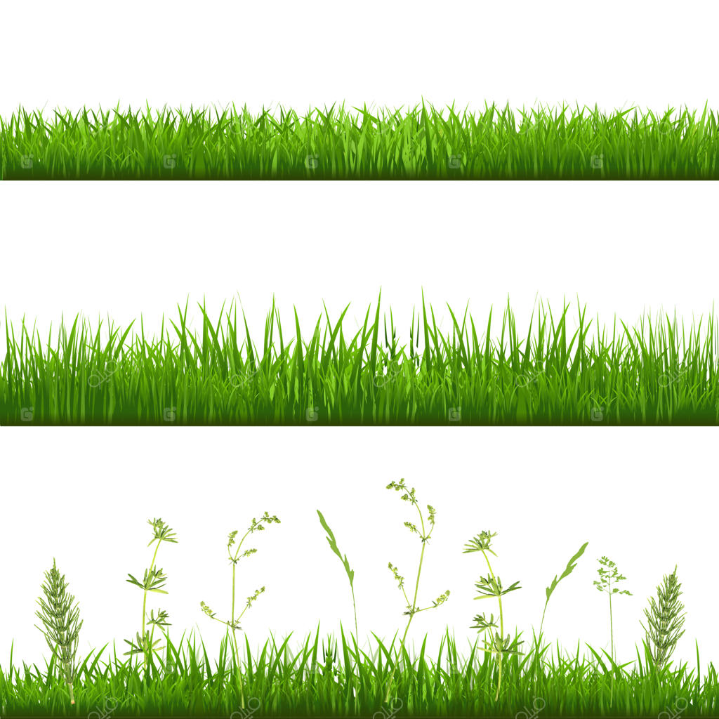 حاشیه‌های چمن با گرادینت مش