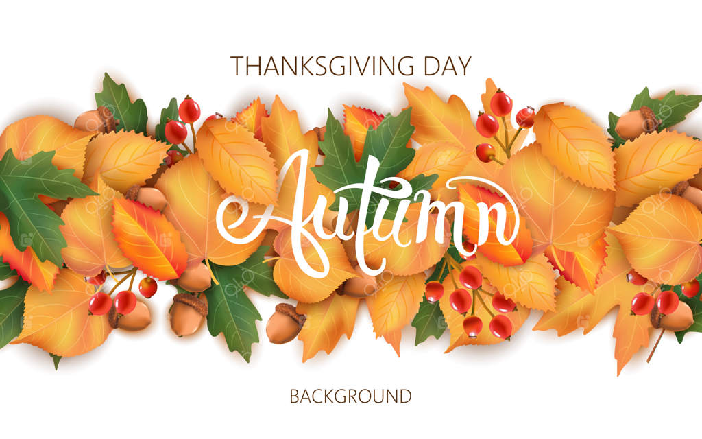 زمینه‌ی انتزاعی با برگ‌ها، بلوط‌ها و توت‌ها. تم‌های پاییزی. روز شکرگزاری