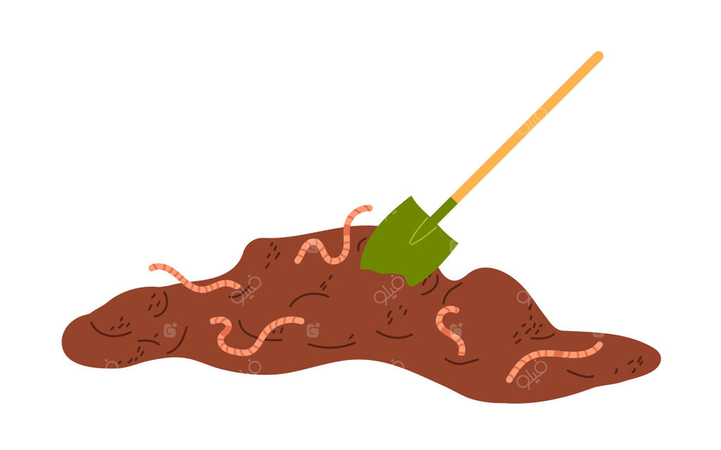 خاک با کرم‌های خاکی و بیل باغبانی در حیاط پشتی در طول روز