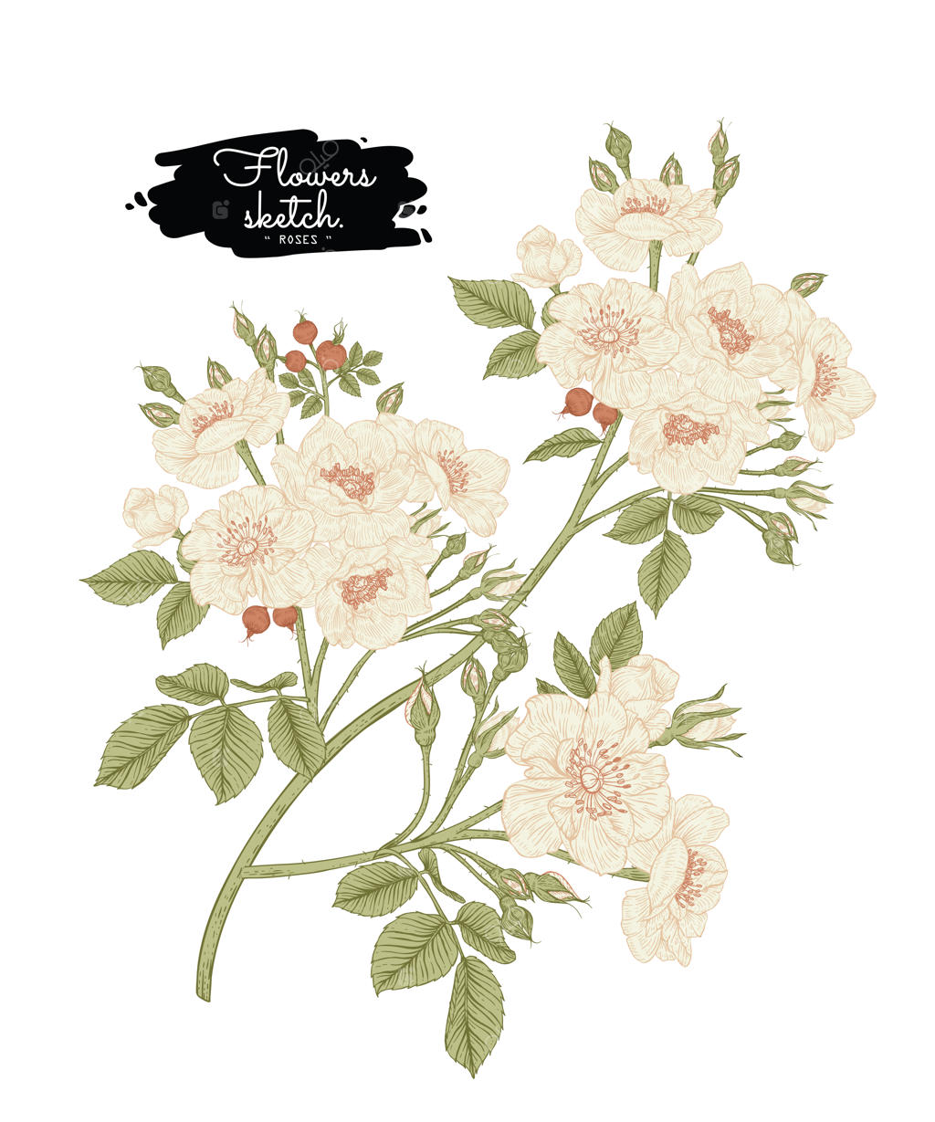 طراحی برگ و گل رز