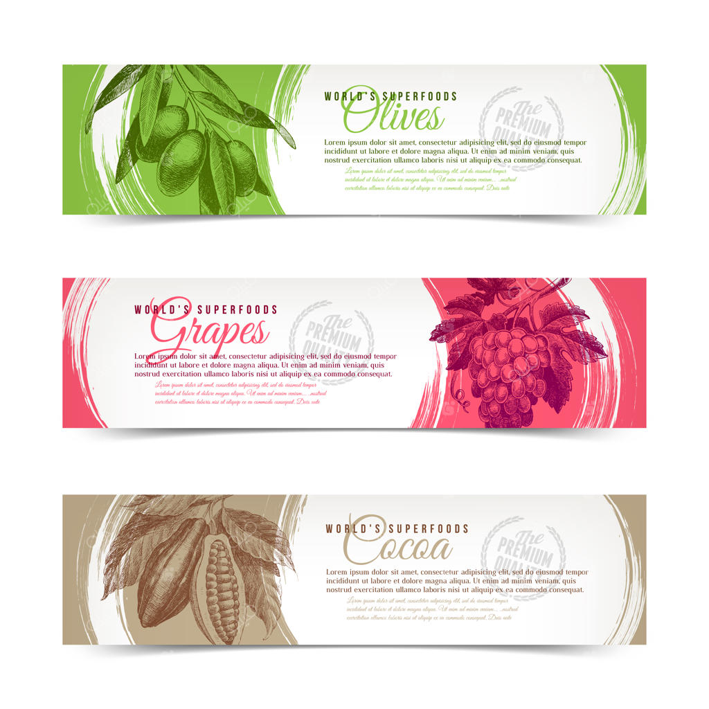 بنرهایی با طراحی دستی غذاها - انگور، زیتون و دانه‌های کاکائو