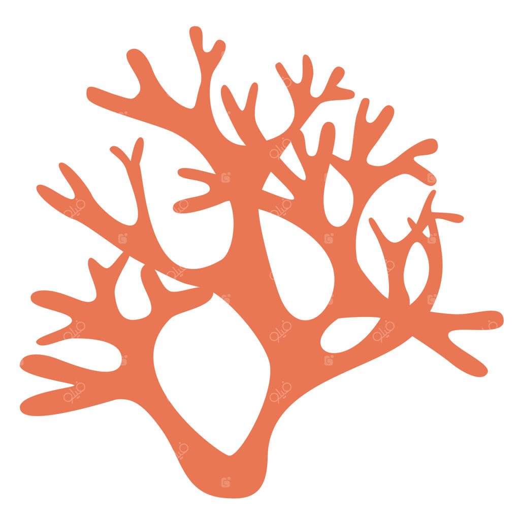 شاخه مرجان با طیف رنگی سبز در پس‌زمینه سفید