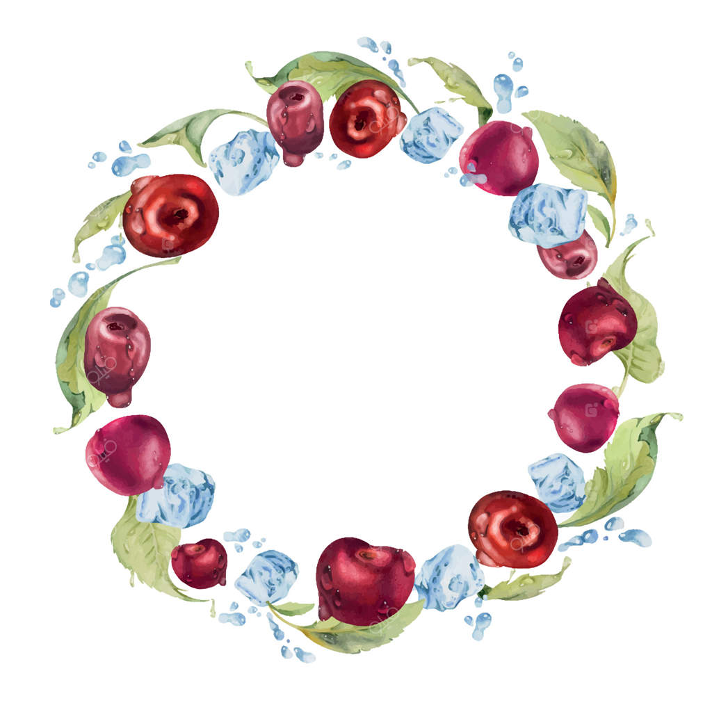 آلبالوهای شیرین در حال پرواز در آب و یخ، کشیده شده با آبرنگ، برگ‌های میوه‌های رسیده قرمز. طراحی فریم دایره‌ای. منوی رستوران و کافه، بازار کشاورزان، عروسی.