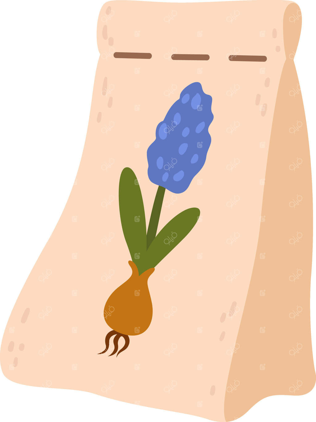 کیسه کاغذی بژ پر از پیاز و نهال‌های موسکاری با برگ‌های سبز و گل‌های آبی چشم‌نواز، ایده‌آل برای کاشت در باغچه یا گلدان‌ها