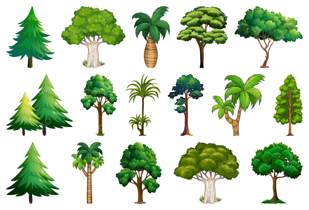 مجموعه‌ای از گیاهان و درختان متنوع