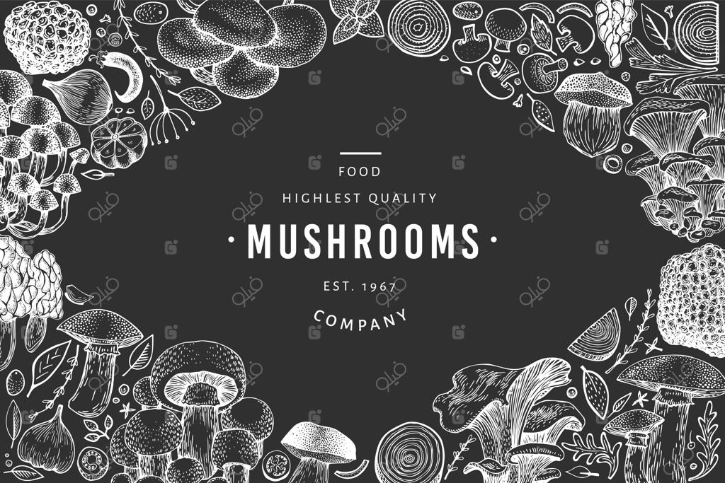 پترن سیاه و سفید قارچ.