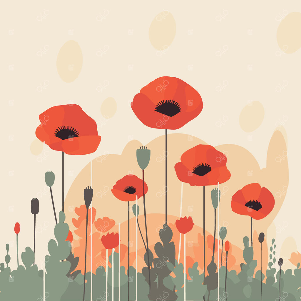 پس‌زمینه گل‌های شقایق قرمز