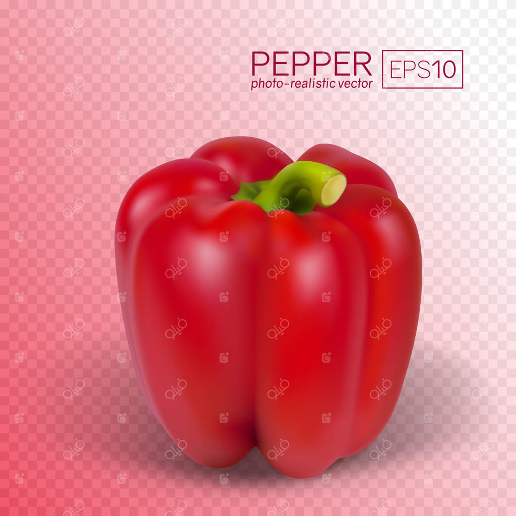 فلفل قرمز روی زمینه شفاف