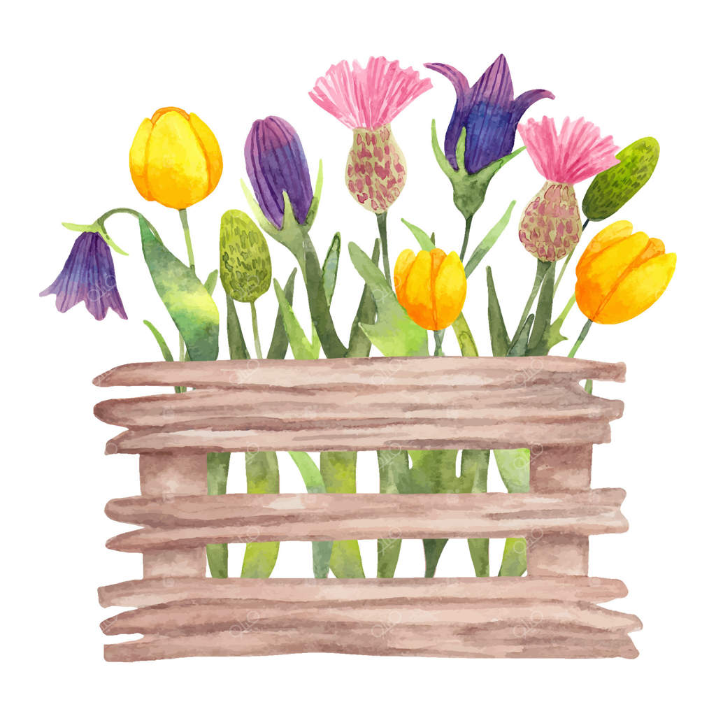 جعبه چوبی با گل‌های باغچه: ترکیب گیاهی بهاری برای عید پاک. تصویرسازی ساده با آبرنگ، دکوراسیون فصلی با لاله‌ها، خارها و گل‌های زنگوله‌ای. هنر دست‌ساز و متحرک.