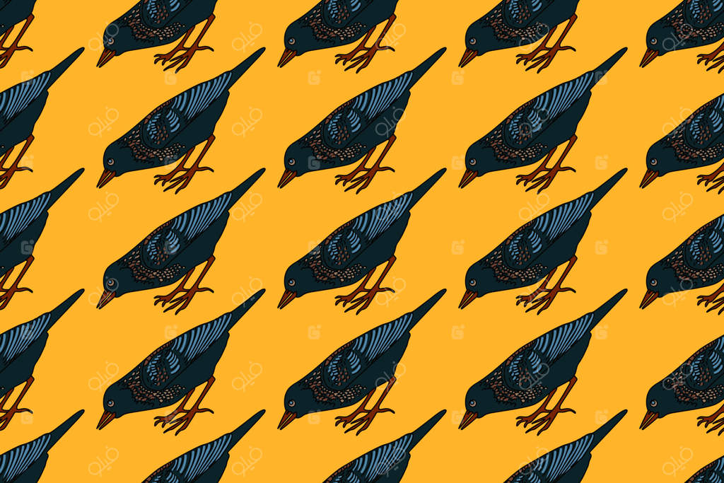 پترن انتزاعی گیاهی با تصویرسازی پرندگان باغی. پترن تکراری رنگین سار معمولی در پس‌زمینه زرد. طراحی گرافیکی برای پوشاک، پارچه و جشن تولد
