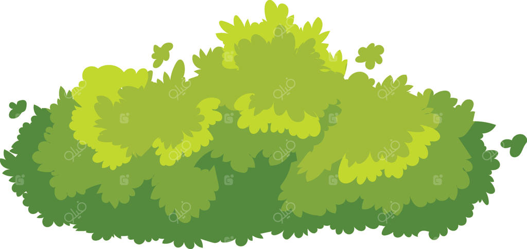 درختچه سبز و شاداب فضای باغ را با طبیعت زیبا و آرامش‌بخشی می‌آراید و محیطی دلپذیر و ایده‌آل برای آرامش‌ یافتن فراهم می‌کند.