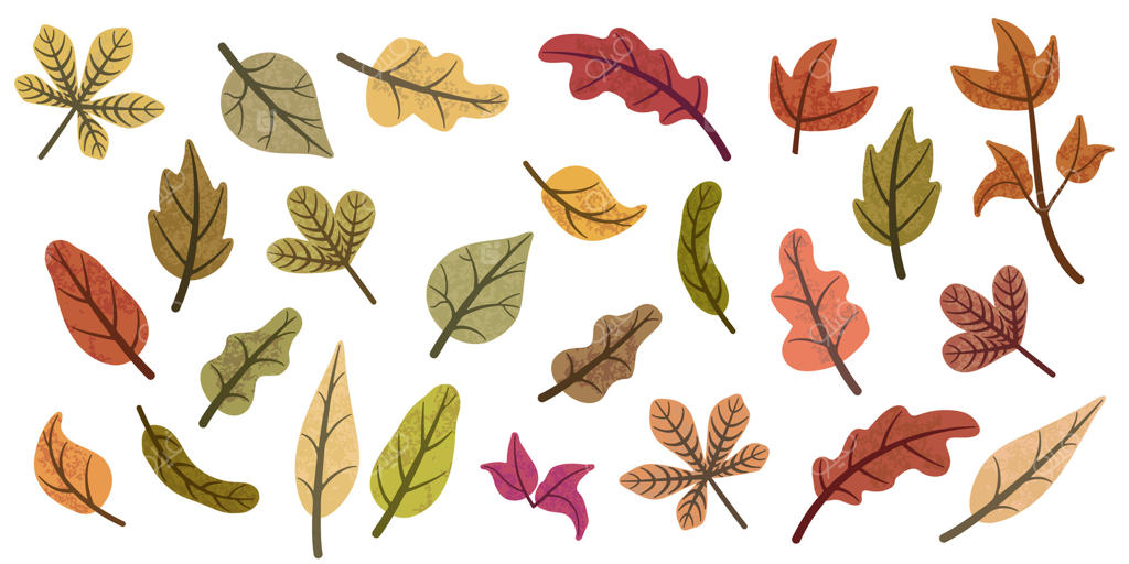 برگ‌های رنگارنگ پاییزی از درختان می‌ریزند و فرشی زنده خلق می‌کنند