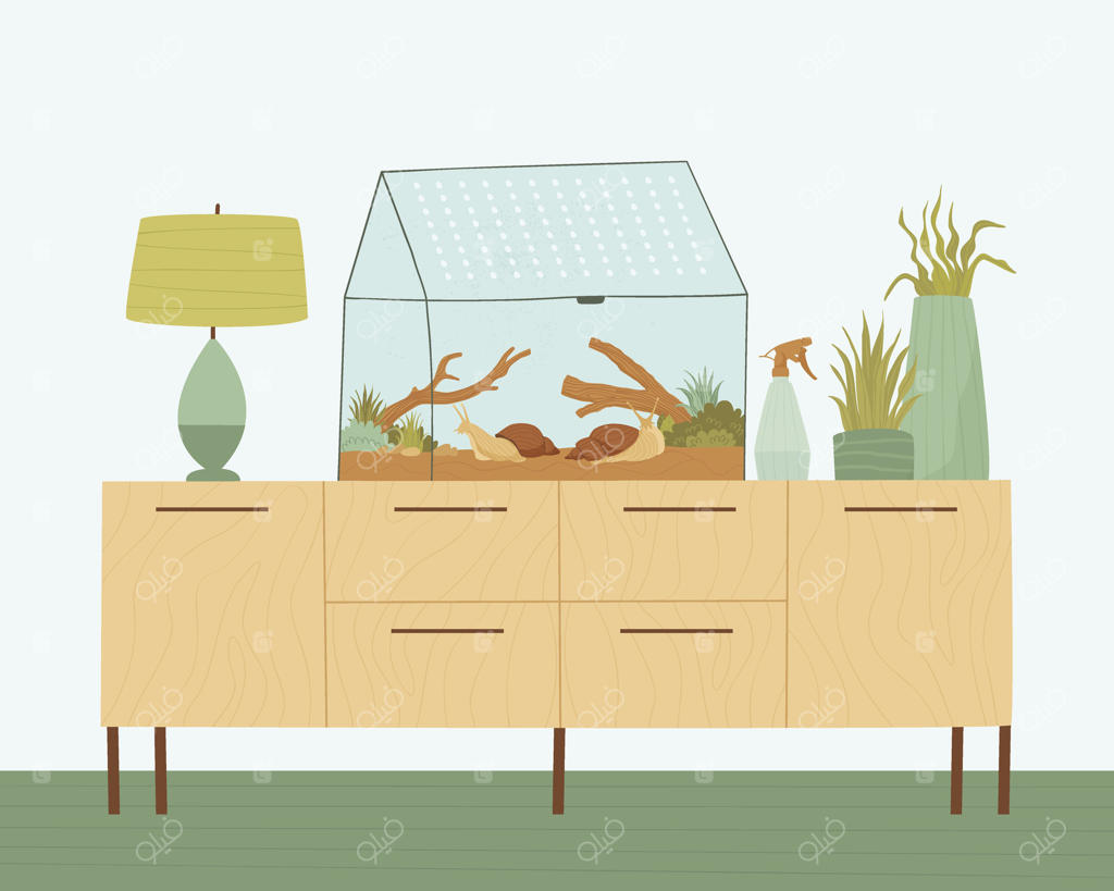 در اتاق، باغچه‌ای پر از حلزون و گیاه روی میز کنار تخت است.