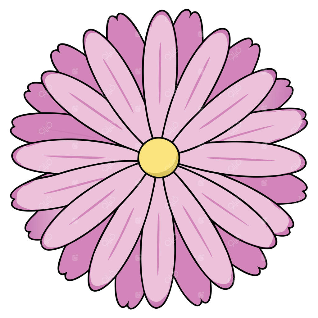 گلبرگ‌های صورتی، شکوفه، گل، مروارید، طبیعت، بهار، گیاه‌شناسی، گل، باغ، زیبایی