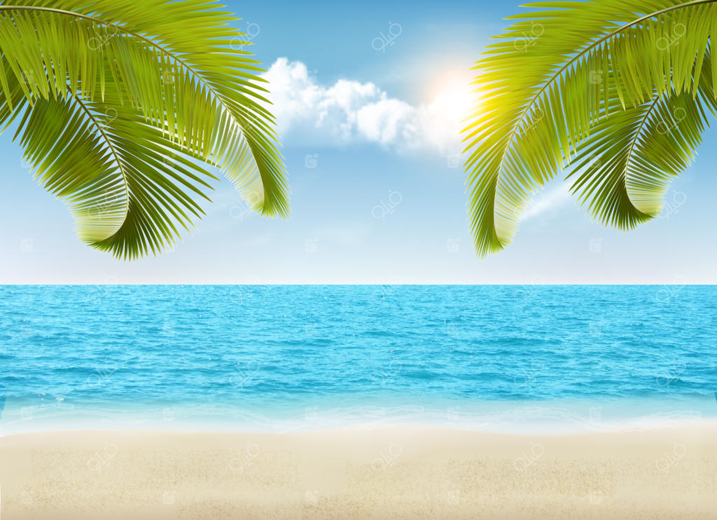 کنار دریا با نخل‌ها و ساحل.