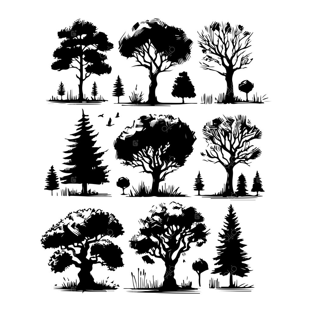 وکتور سیلوئت درخت کاج با رنگ مشکی