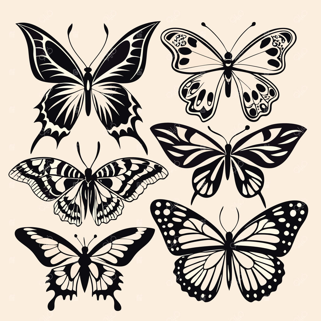 تصویرسازی سایه‌نمای پروانه