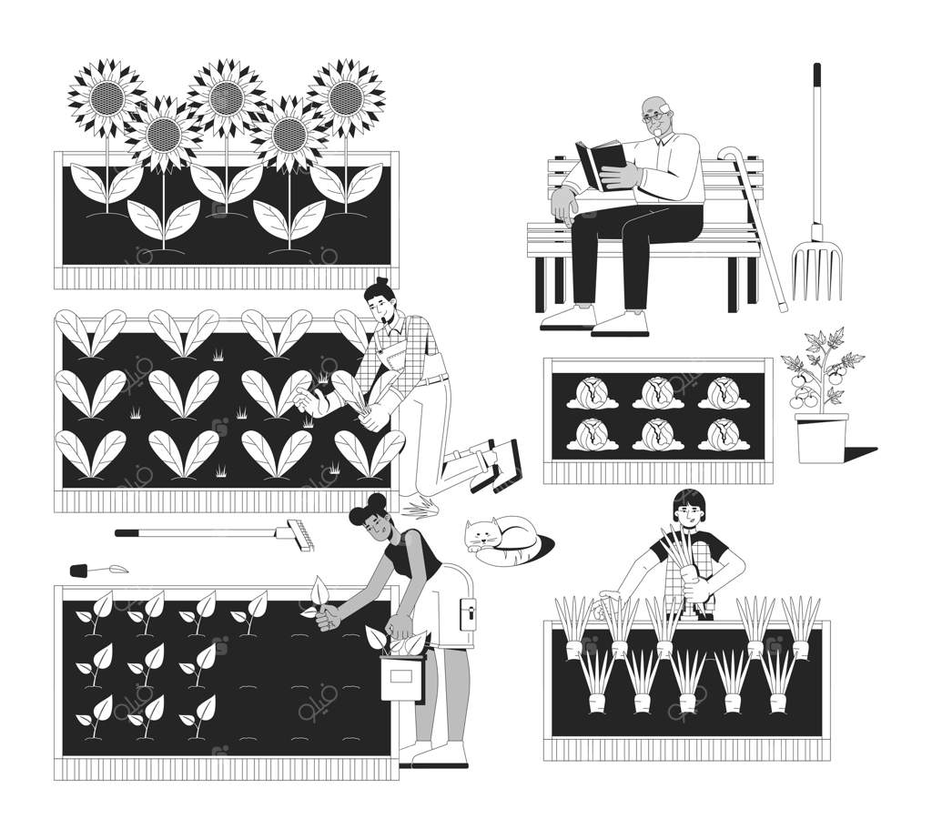 تصویر برنامه نگهداری باغ جامعه. زندگی پایدار، پرماکالچر. داوطلبان در حال کاشت، علف‌کنی، برداشت. شخصیت‌های خطی دو بعدی، جدا شده بر روی زمینه سفید. تصویر خطی تک‌رنگ墨