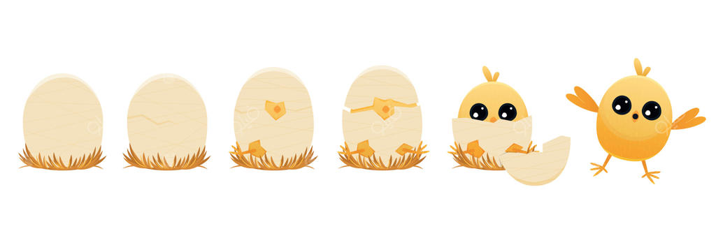 مراحل تولد جوجه‌مرغ. جوجه کارتونی بالدار در حال بیرون آمدن از تخم، حیوان خانگی با پر، جوجه‌های تازه‌متولدشده تابستانی. تصویرسازی برداری تخت