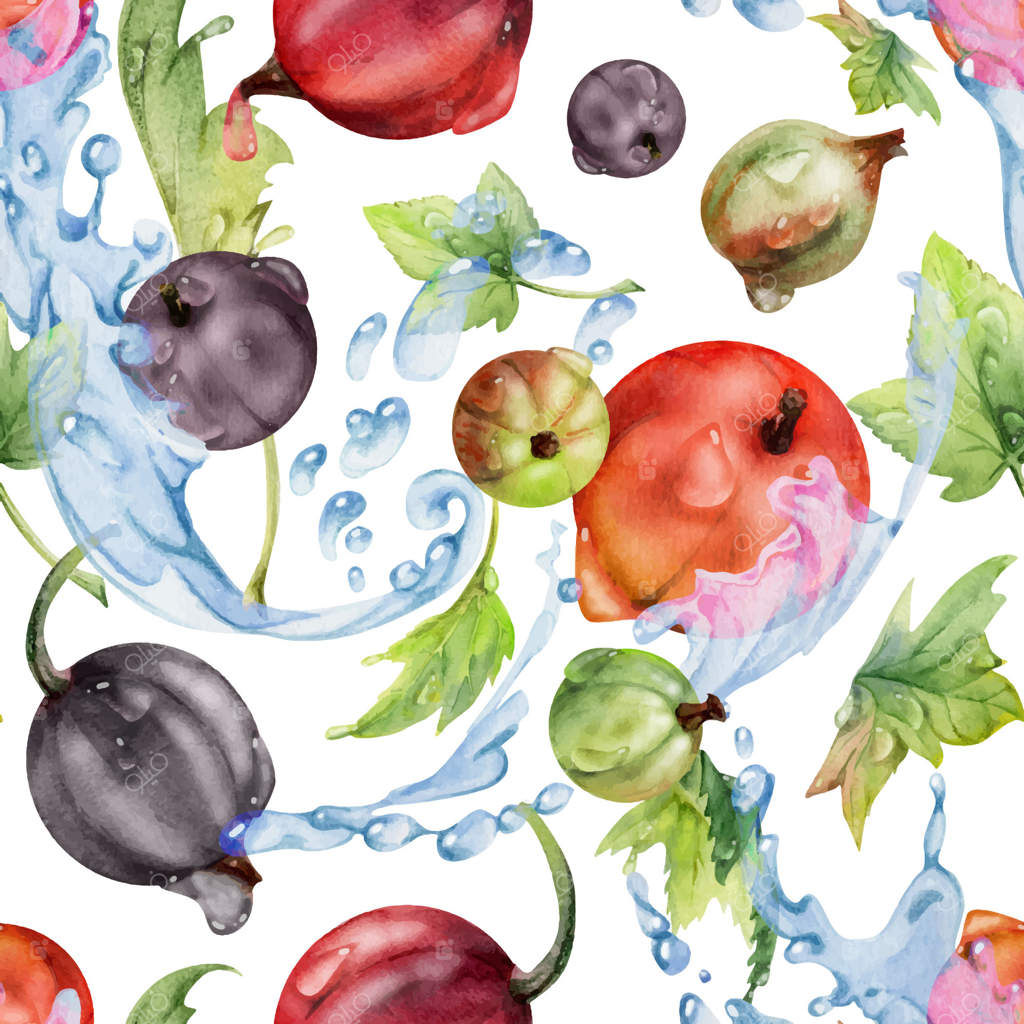 انگور فرنگی و کشمش در حال پرواز در پاشیدن آب با برگ‌های سبز و قطرات شبنم، توت رسیده جونس بری و جستا بری. پترن یکپارچه ایزوله به صورت دست‌کشیده با آبرنگ. مناسب برای پارچه و کاغذ کادو