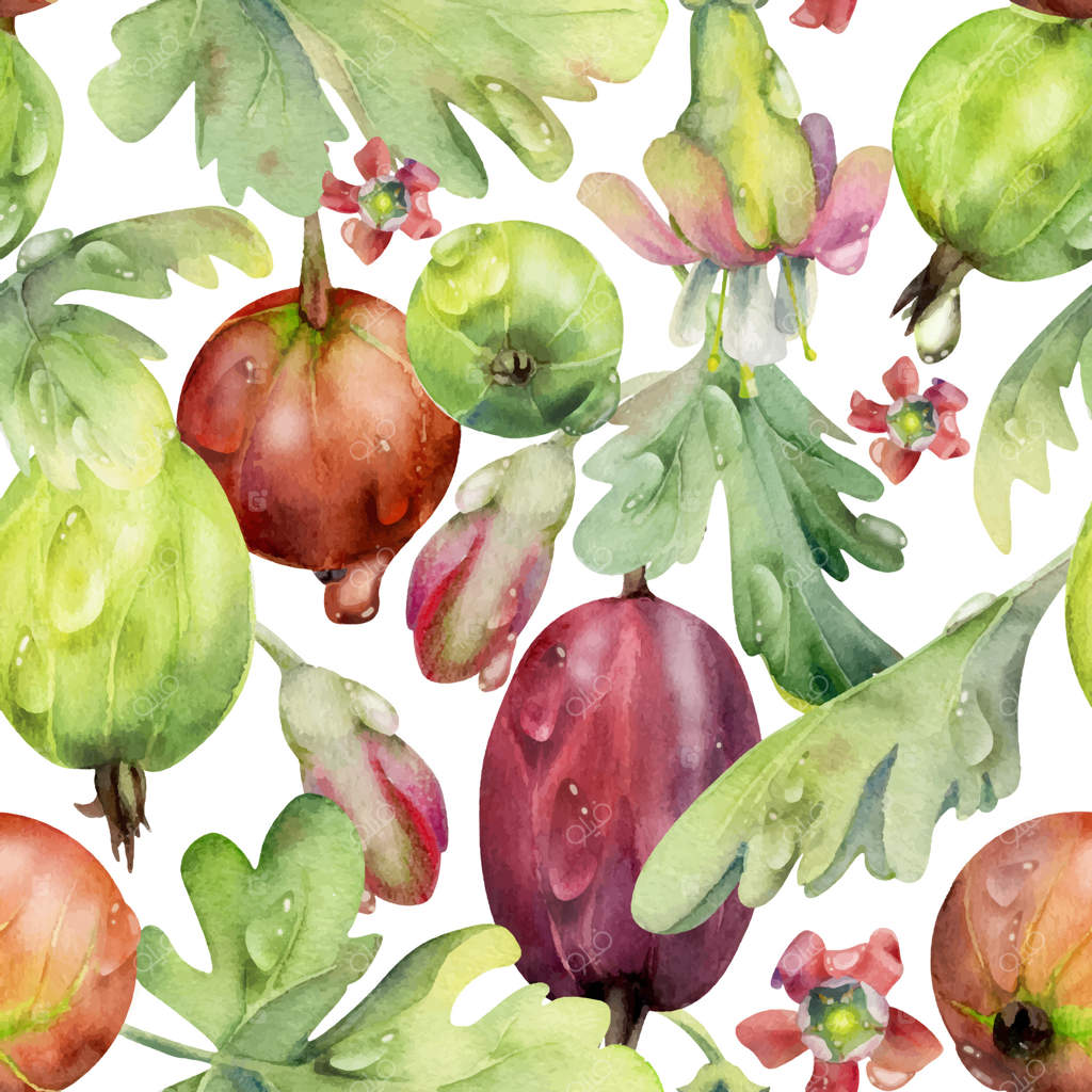 انگور فرنگی و توت‌فرنگی: برگ‌ها و گل‌ها با قطرات شبنم در آبرنگ نقاشی شده. پترن یکپارچه و تک‌رنگ مناسب برای دکور ذخیره‌سازی خانگی، لوازم خانگی، تزئین فروشگاه مواد غذایی، کتاب دستور پخت و منو.