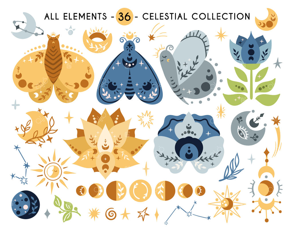 پروانه یا شب‌پره آسمانی