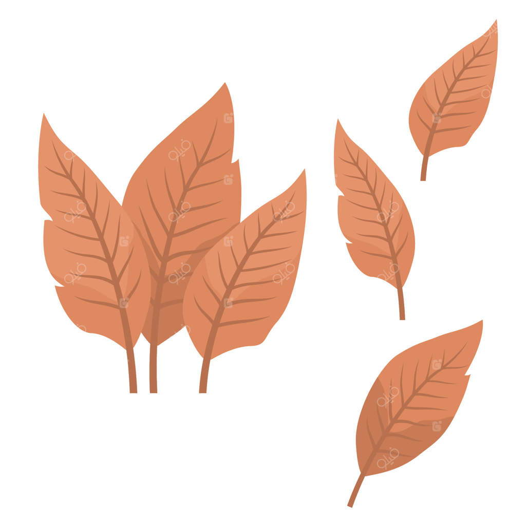 عناصر برگ‌های گرمسیری نارنجی در باغ پارک