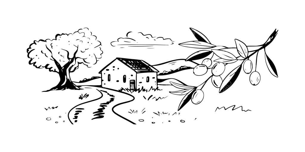 برداشت زیتون در دهکده، تصویر وکتور از باغ های زیتون