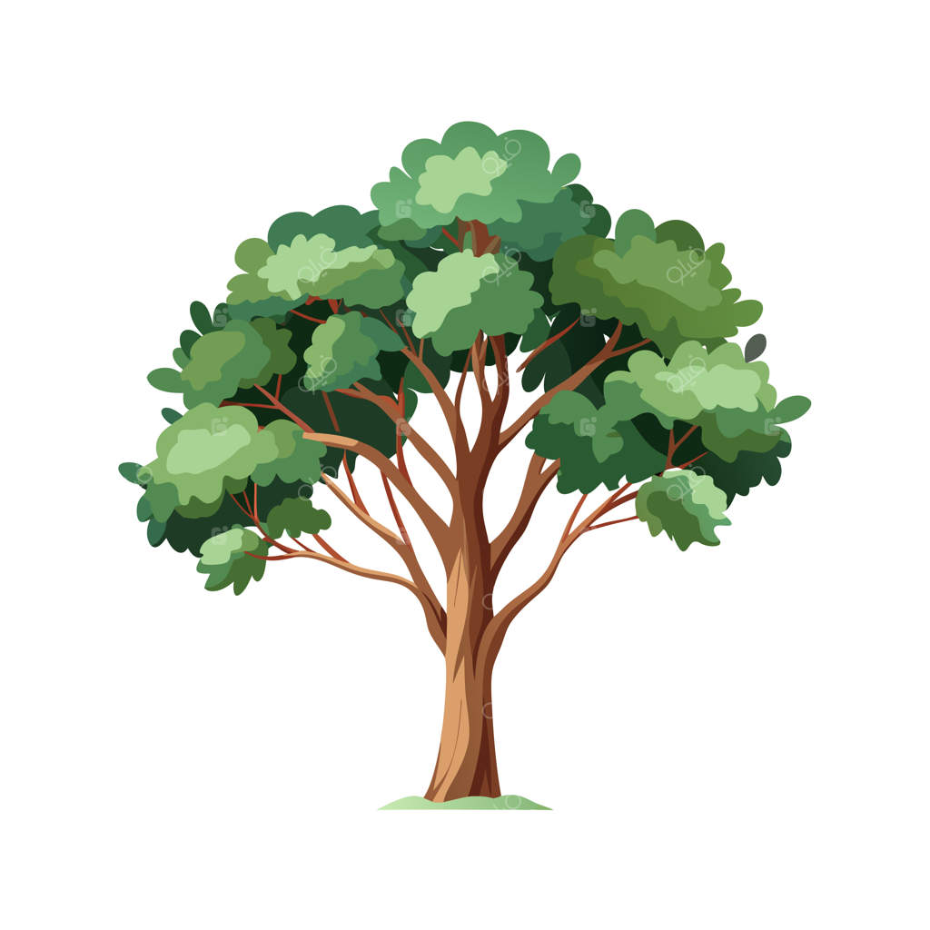 مفاهیم تصویرسازی برداری از درختان به سبک تخت