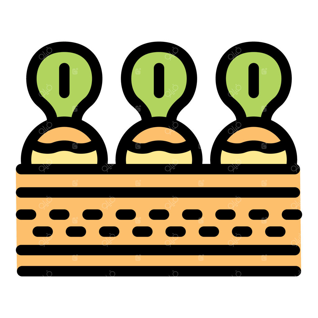 سه شلغم در باغچه چوبی پر از خاک رشد می‌کنند