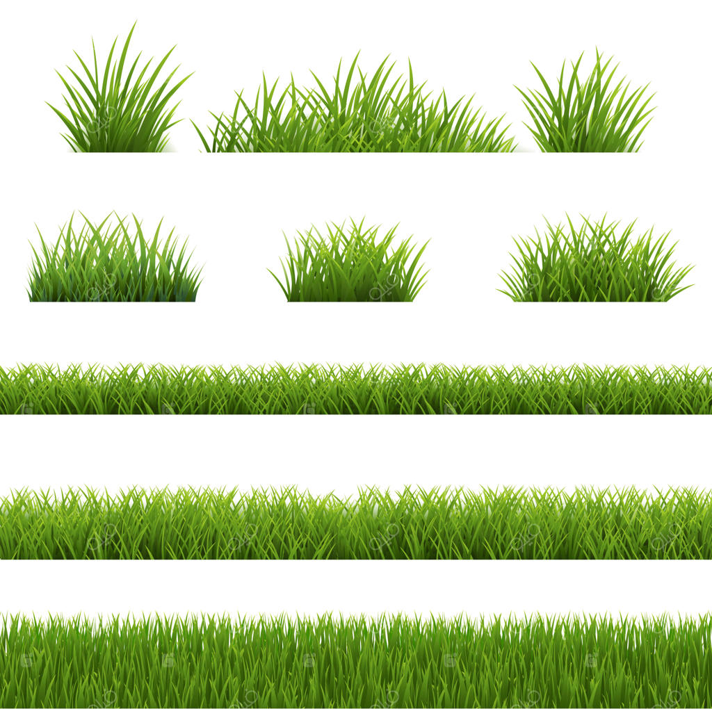 حاشیه چمن سبز با پس‌زمینه سفید