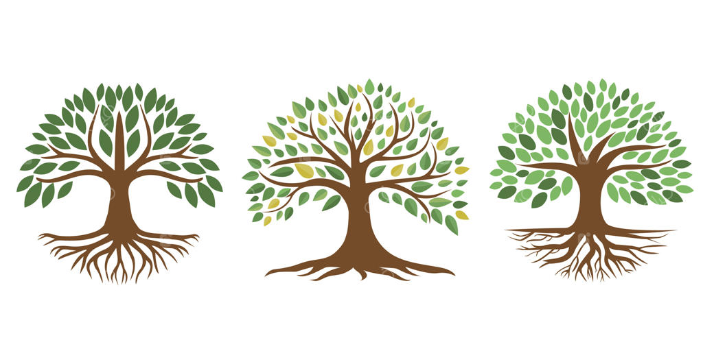 طراحی لوگوی درخت شاداب با ریشه‌ها. نماد گیاه طبیعی. درخت زندگی. مجموعه. روی زمینه سفید.