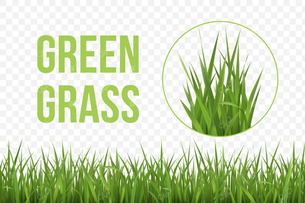 پترن واقع‌گرایانه چمن