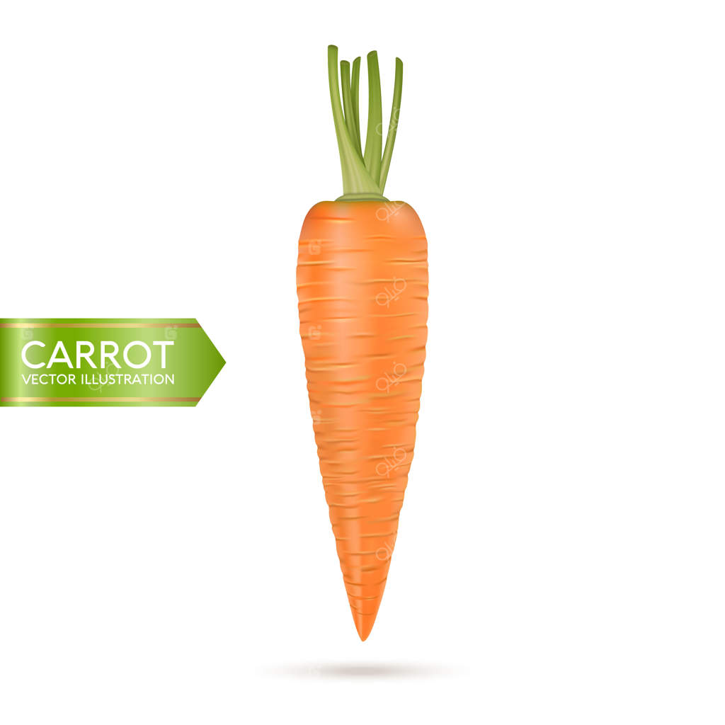 آیکون واقعی هویج بر روی زمینه سفید