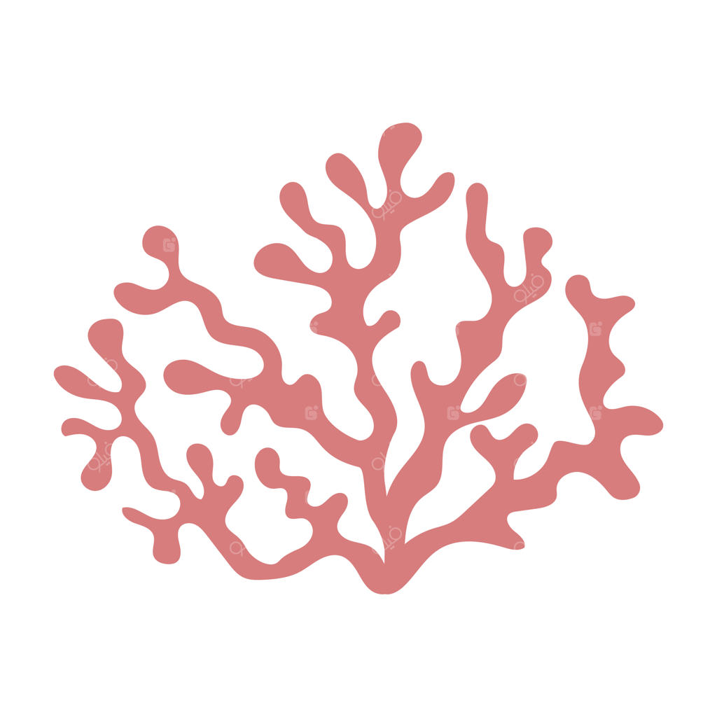 گیاهان زیر آب، مرجان‌ها، اسفنج‌ها و اشکال موجودات دریایی به سبک کارتونی