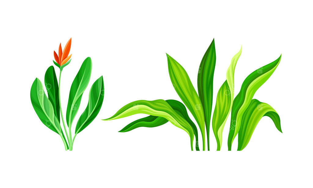 مجموعه‌ای از گیاهان و گل‌های گرمسیری سبز. عناصر طراحی گل روشن و کارتونی