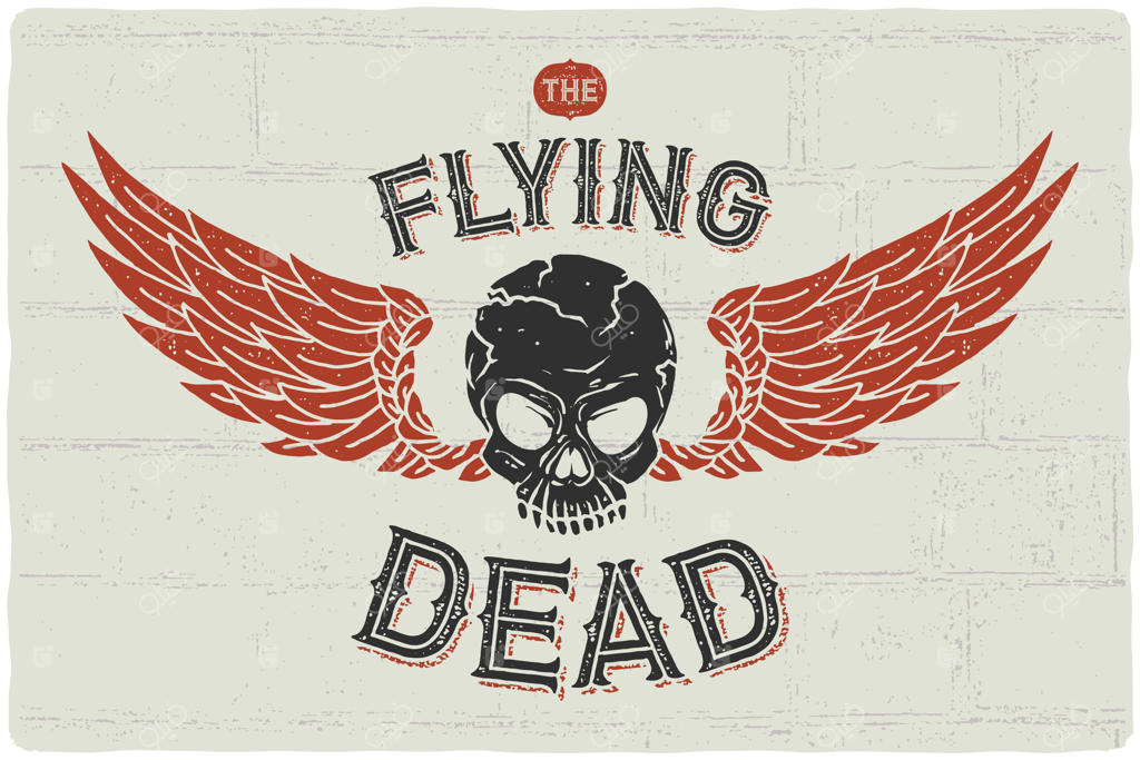 پوستر جمجمه پرنده