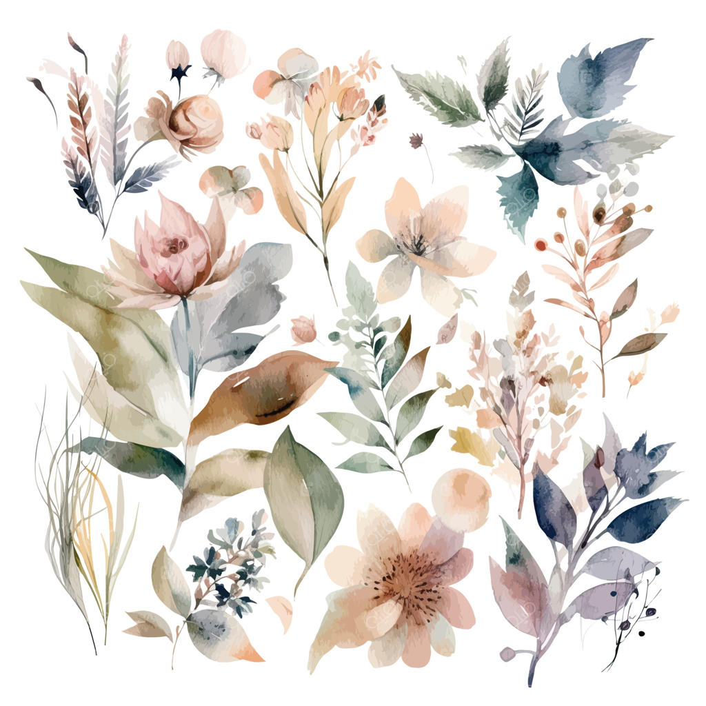 مجموعه‌ای از گل‌های آبرنگی، برگ‌ها و شاخه‌ها بر روی زمینه سفید