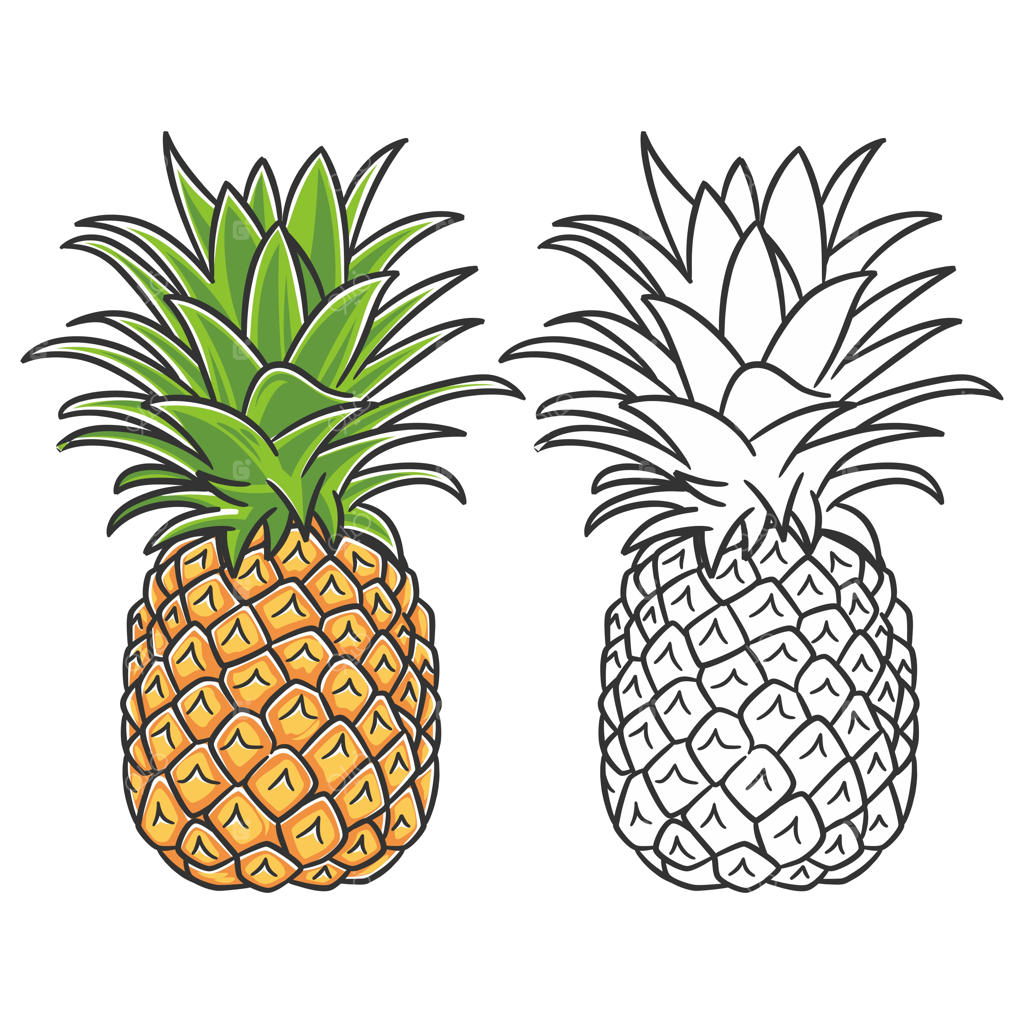 میوه‌های تابستانی برای سبک زندگی سالم؛ میوه آناناس