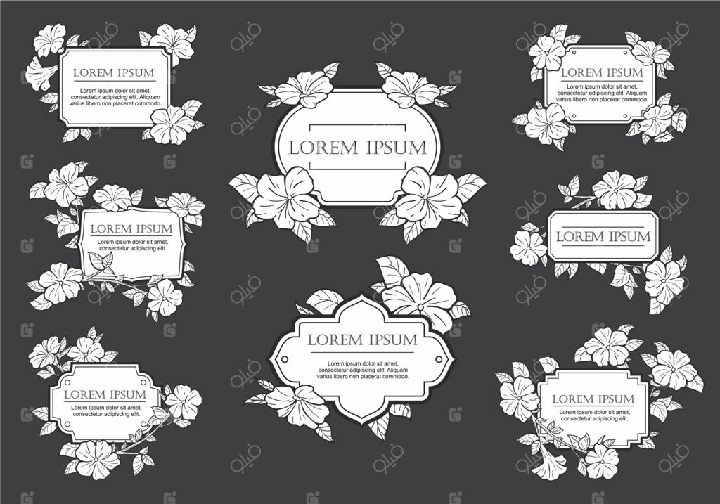 وکتور قاب گل‌های پتونیا