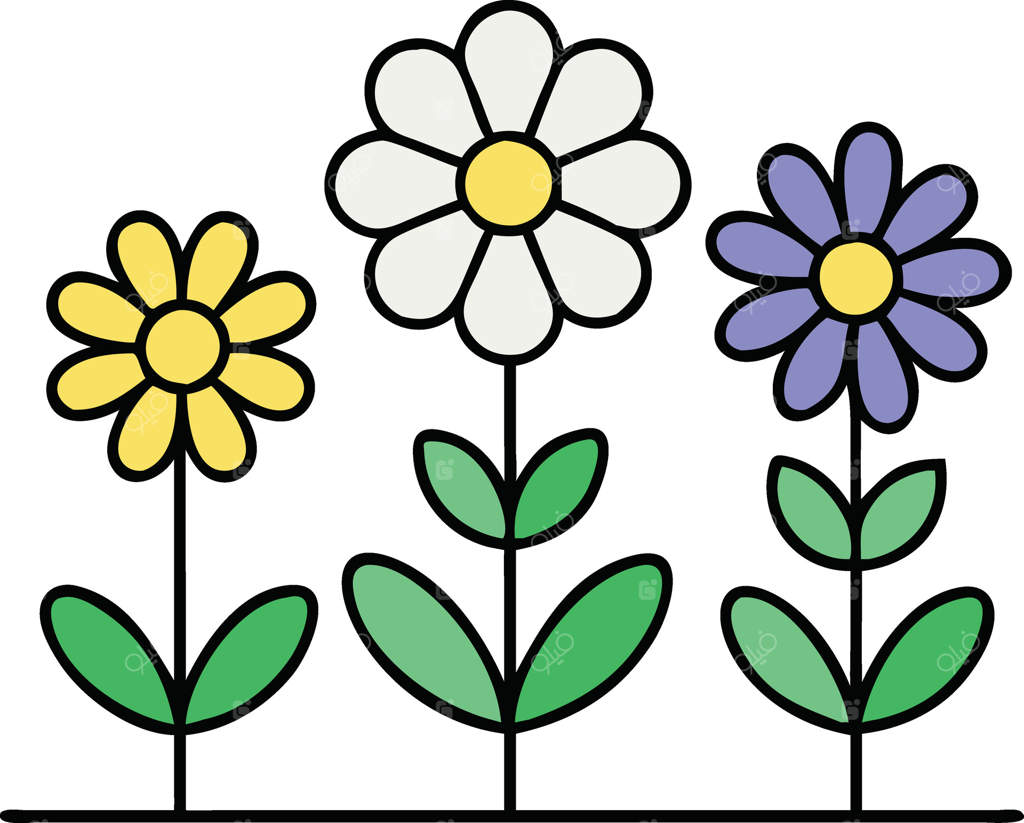 تصویرسازی باغ با سه گل رنگارنگ: بابونه، زرد، اختر